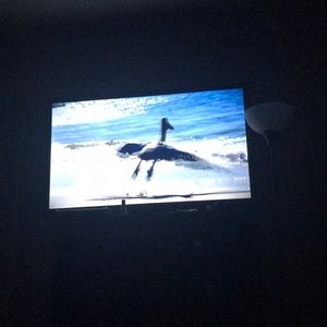 Meet your Posher, Hazel